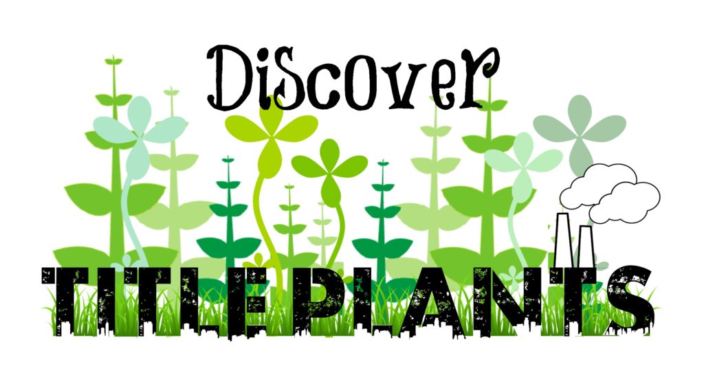 title-plants-002-1024x552