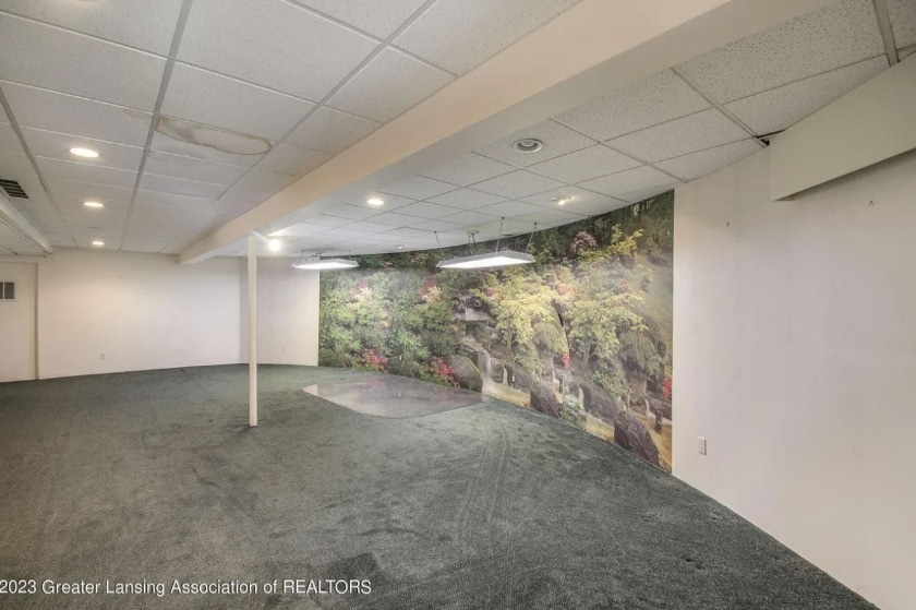 ufos, space aliens, elvis