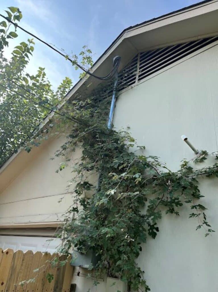 dangerous home inspection finds