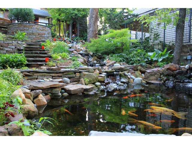 1004-N.-Montclair-koi-pond