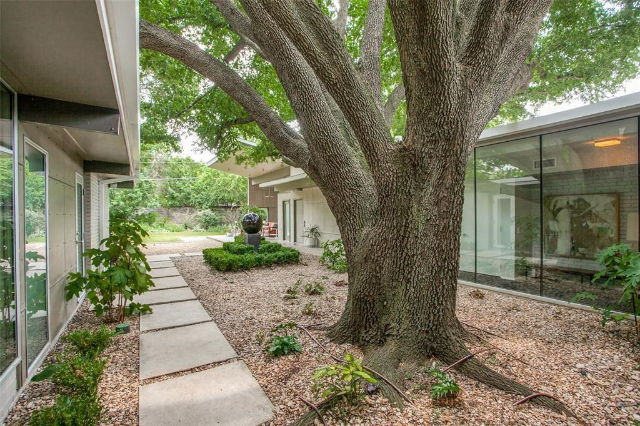 10646-Royal-Springs-Drive-1