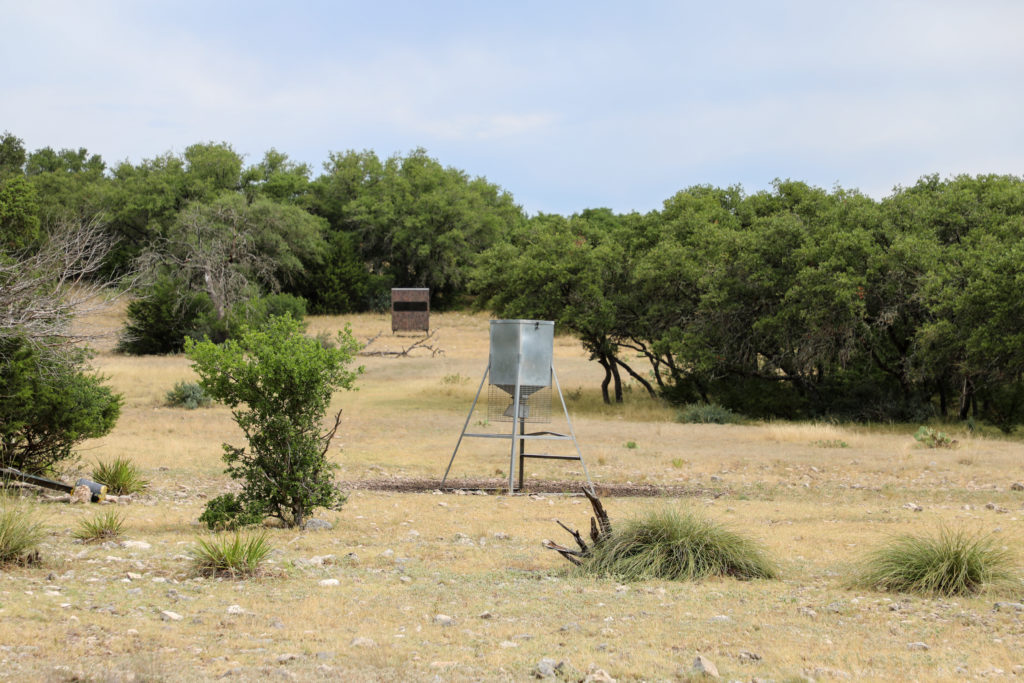 1-3826781537-1024x682-1