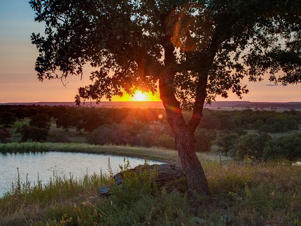 13-rockin-w-sunset-5-600xx1777-1333-112-0