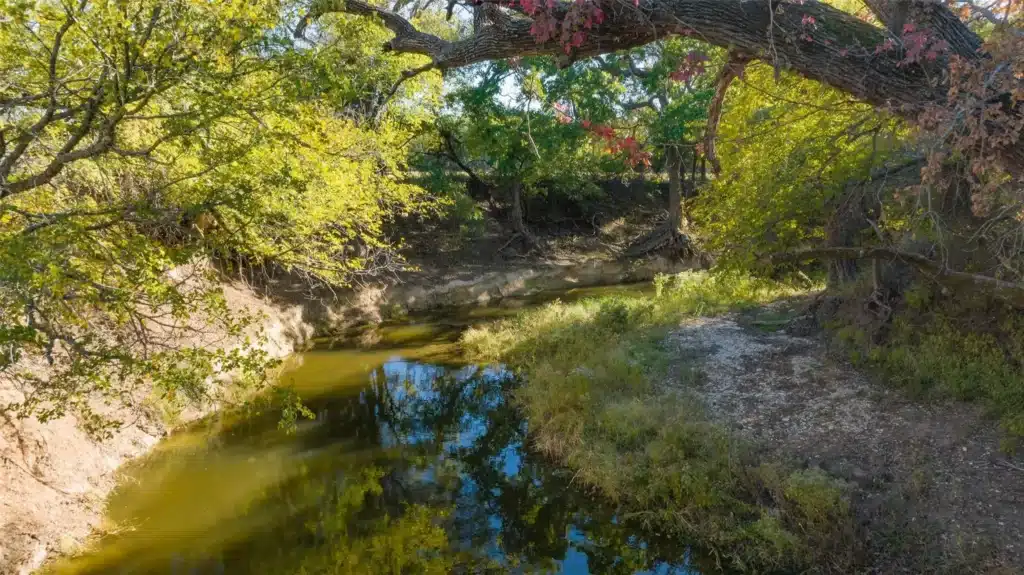 Fences-Ranch-1024x796