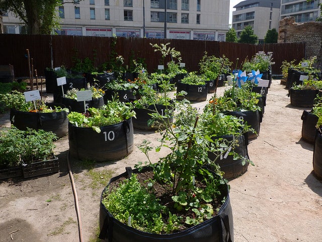 14488187278_6ecc2756bb_z