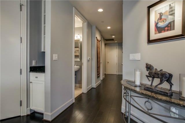 1505-Elm-A-e1426170442252