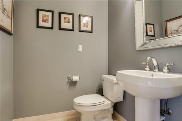 1505-Elm-A-e1426170442252