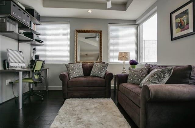 1505-Elm-A-e1426170442252