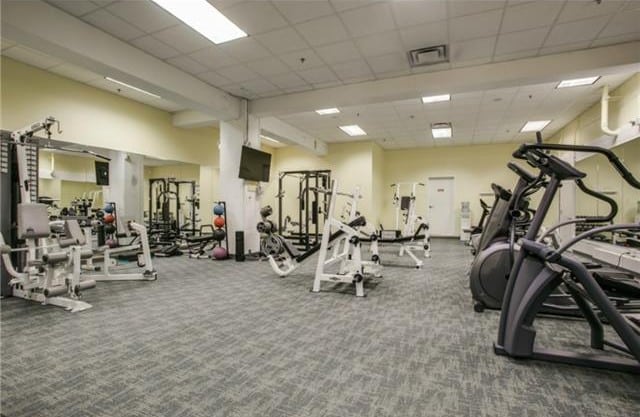 1505-Elm-A-e1426170442252