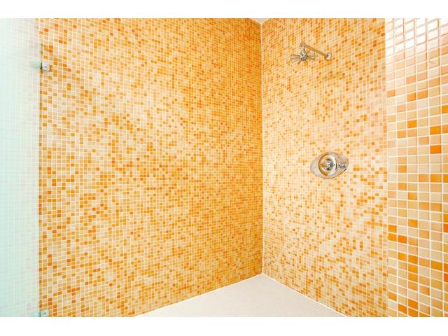 2211-N.-Fitzhugh-Master-Shower
