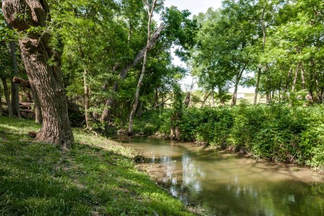 2304-Provine-McKinney-creek1