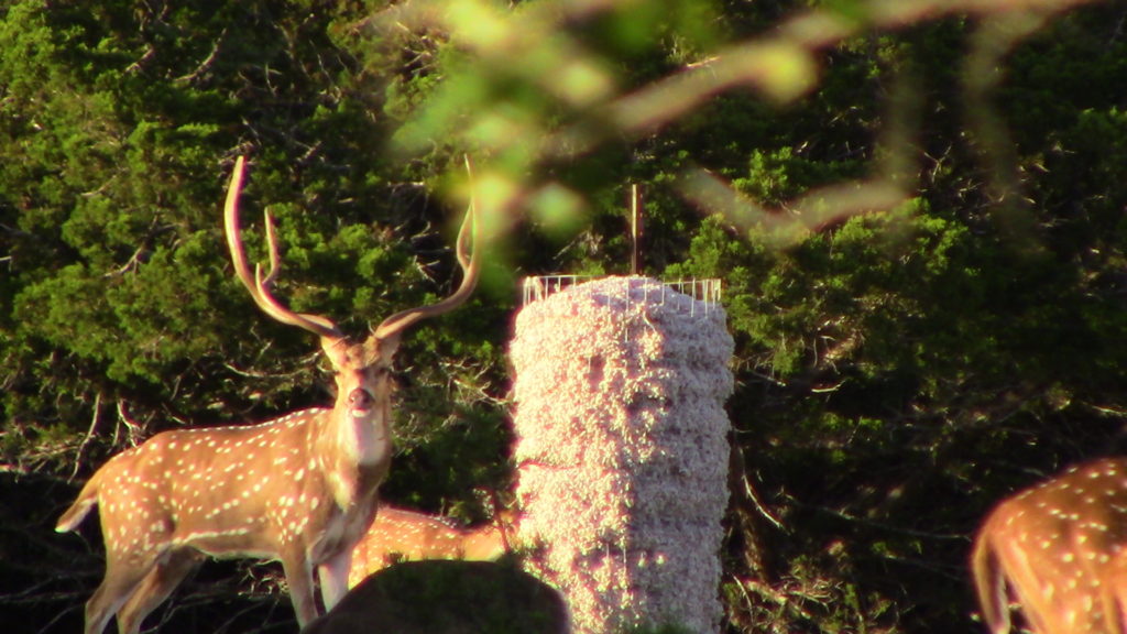 1-3826781537-1024x682-1