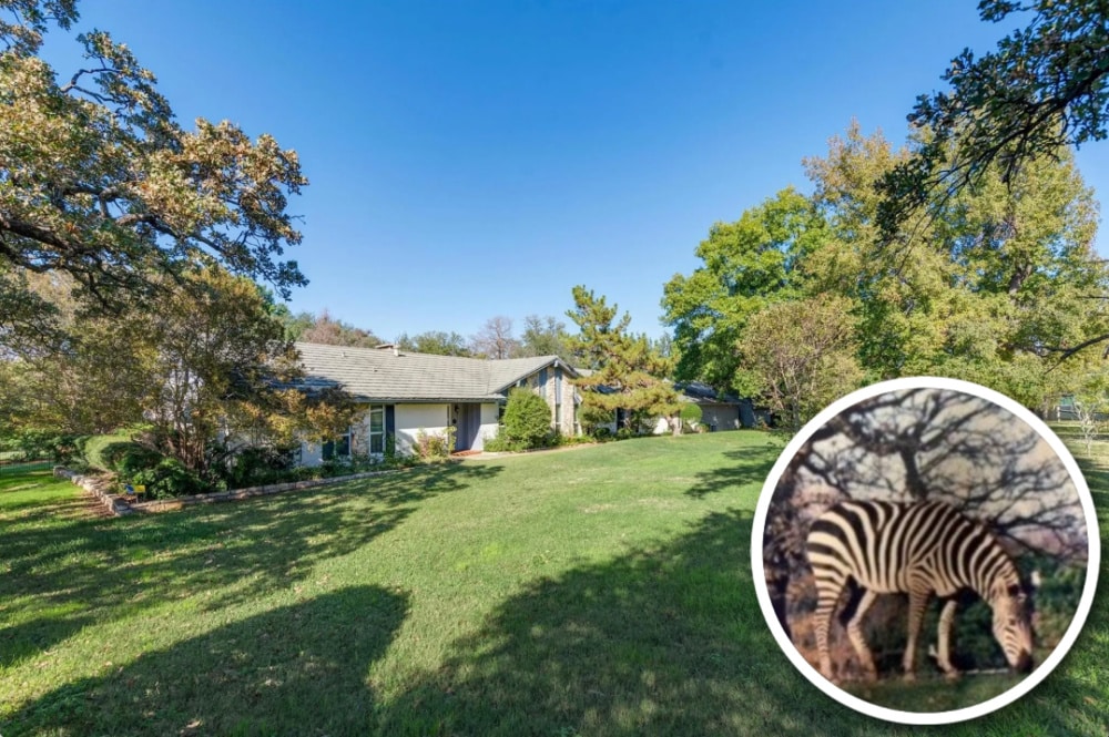 4106-Jackson-Zebra-House-Colleyville-Front-Inset