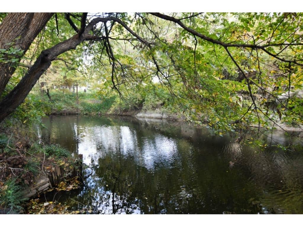 4500-Preston-Rd-creek-1024x768