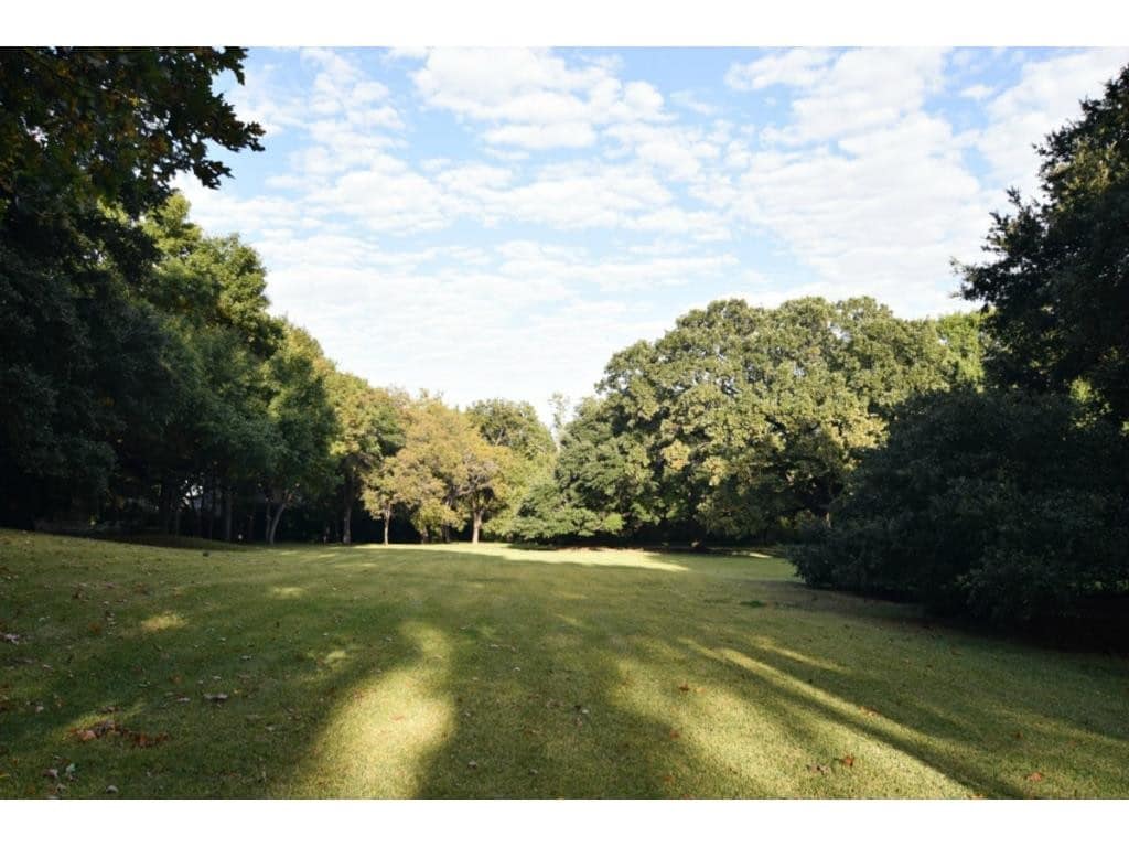4500-Preston-Rd-trees-1024x768