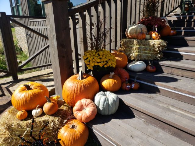 5683e020-f9a1-4ba7-9c11-d1caef518fc5