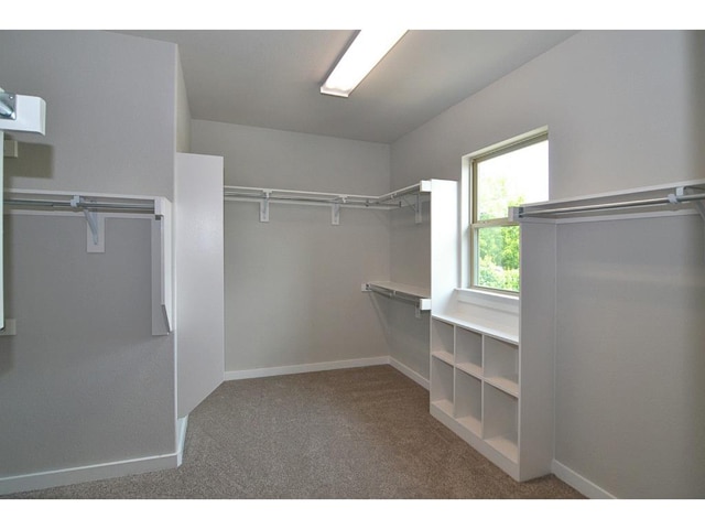 5802-Anita-Master-Closet