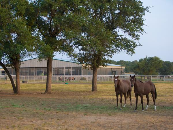 6-rocking-w-ranch-horses-and-arena-600xx1777-1333-112-01