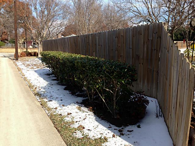 607-Bush-Allen