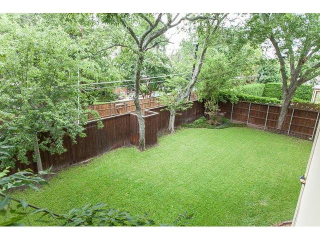 6511-Mimosa-yard