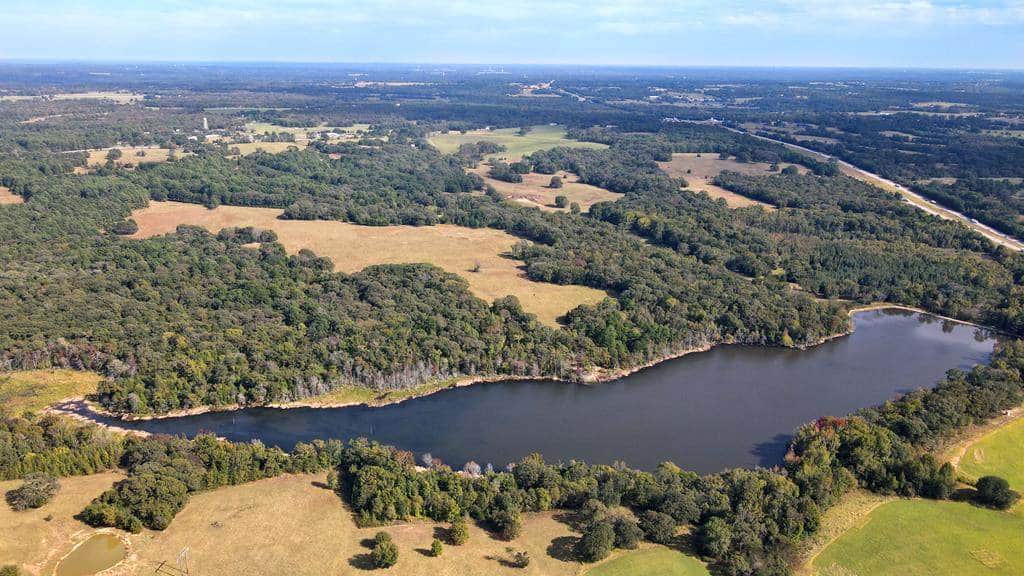 9181F6A5-4A08-4ADC-A146-21C3BCEA9EAE