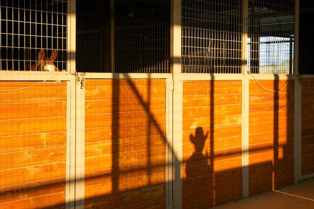7-rocking-w-ranch-barn-shadow-1024x682