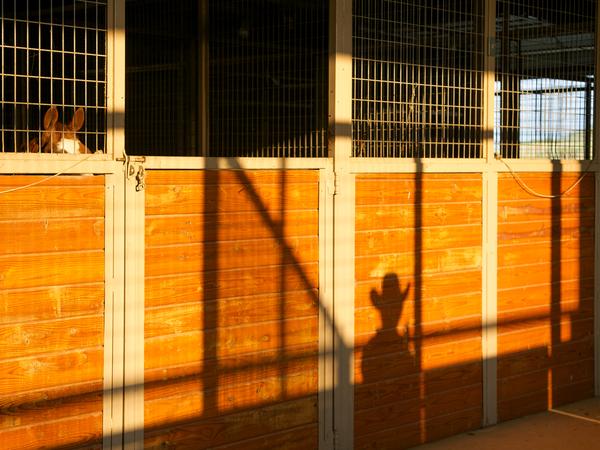 7-rocking-w-ranch-barn-shadow-600xx1777-1333-112-01