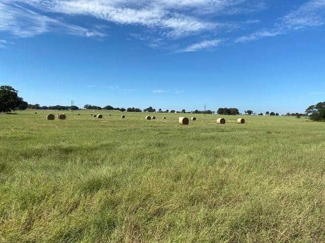 9181F6A5-4A08-4ADC-A146-21C3BCEA9EAE