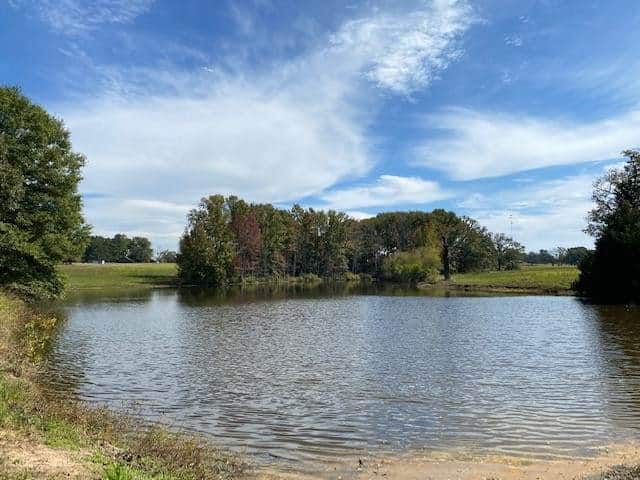 9181F6A5-4A08-4ADC-A146-21C3BCEA9EAE