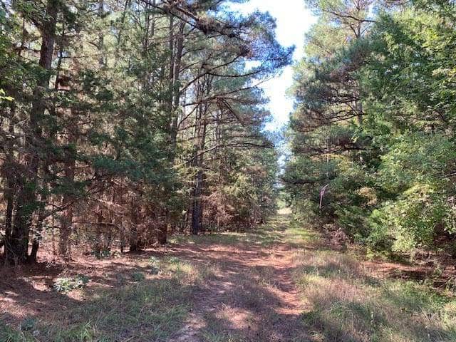 9181F6A5-4A08-4ADC-A146-21C3BCEA9EAE