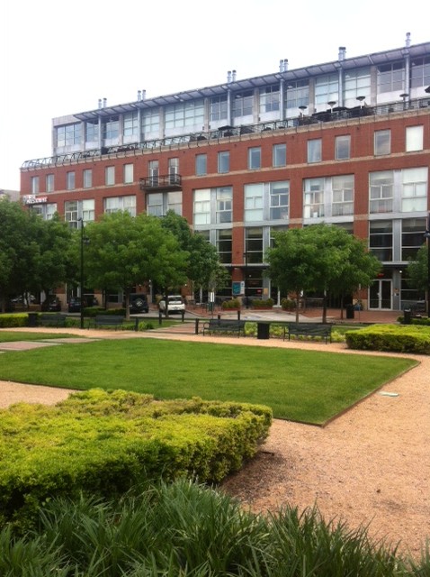 Addison4-e1430760657278