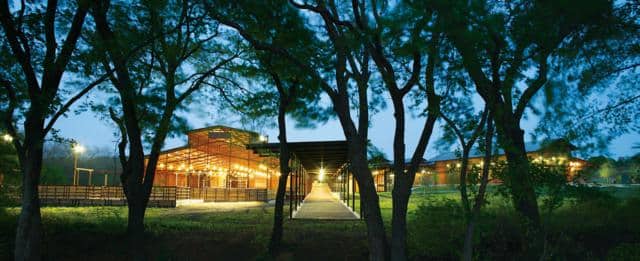 Aledo-Ranch-4