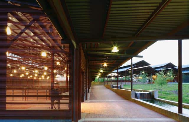 Aledo-Ranch-5