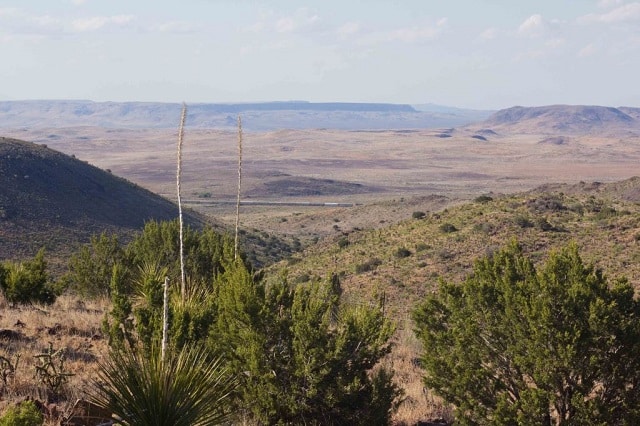 Alpine-dan-nelson-Train_edited-1