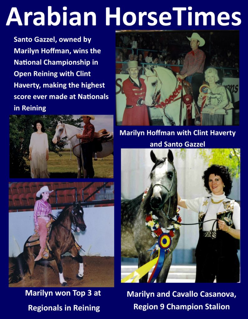 Arabian-Horse-Times-796x1024