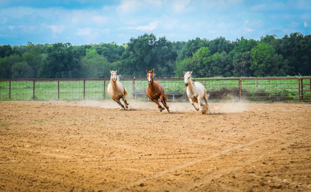 Pilgrim-farm-listing