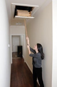 Attic-Ease-model-199x300