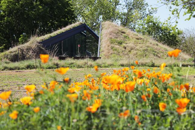 CD-home-bali-1587063139-1