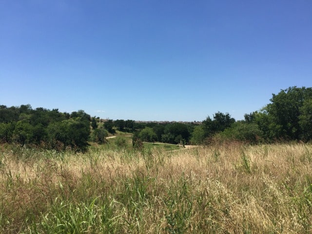 Bella-Custom-Homes-D