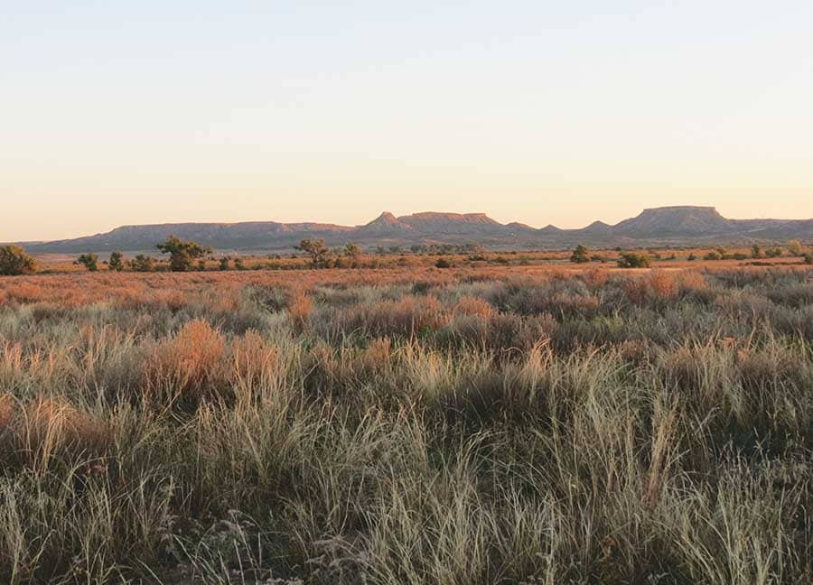 Boone-Pickens-Mesa-Verde