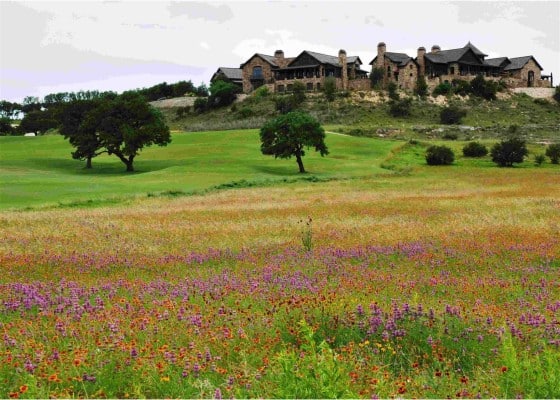 Boot-Ranch-01-560x400.jpg-wildflower-shot