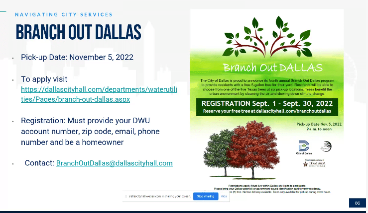 Navigating-city-services