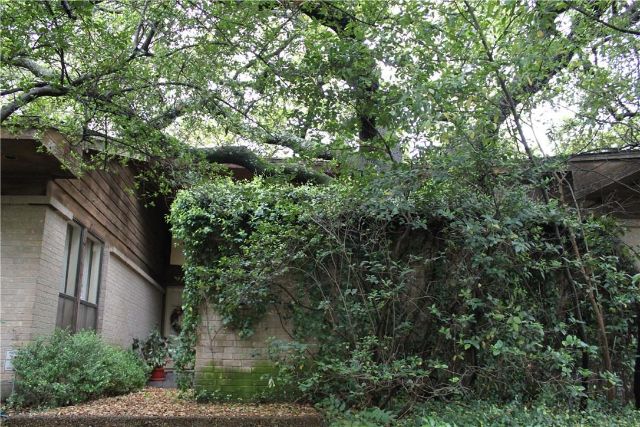 Branch-Oaks-Circle-pool