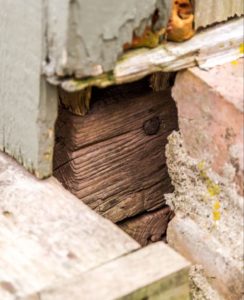 COLLINWOOD-HOUSE-b-244x300