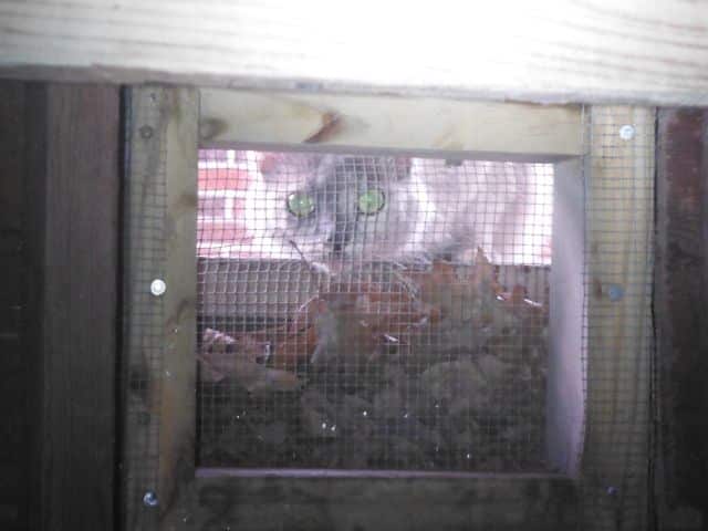 Fort-Worth-haunted-house