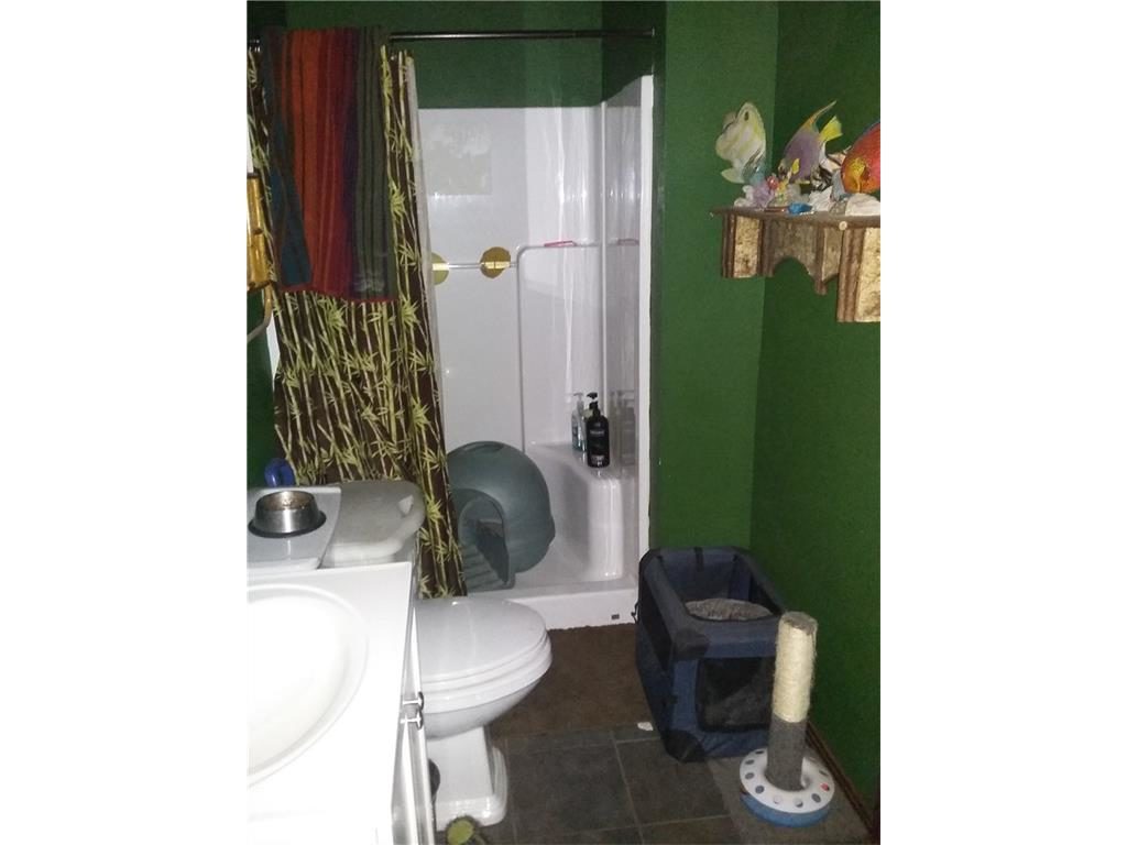 Cat-bathroom-1024x768