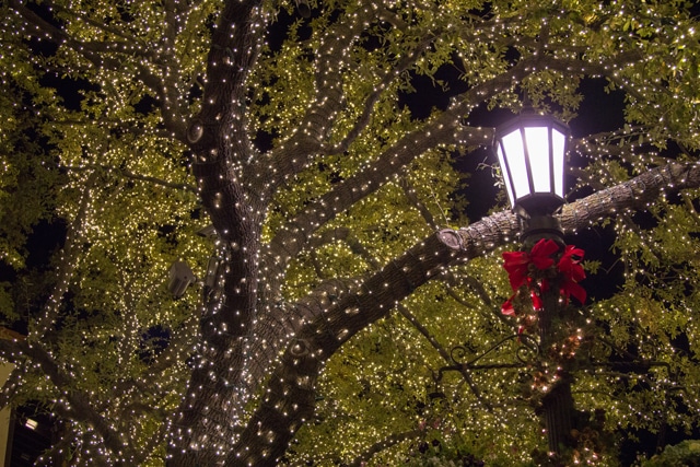 DALLAS-SARAH-BEAUREGARD-HIGHLAND-PARK-VILLAGE-BLOGGER-EVENT-107-2