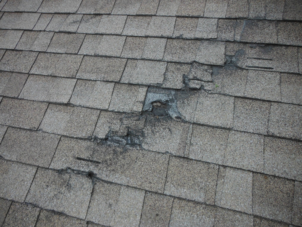 shingles