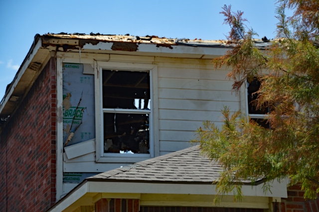 DSC_0047-edit-candysdirt