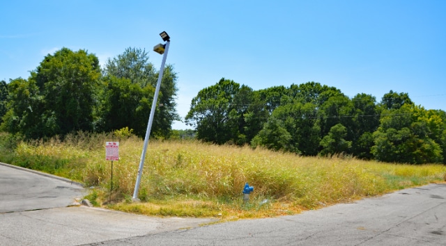 DSC_0047-edit-candysdirt